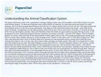 Essay on Understanding the Animal Classification System