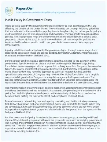 Essay on Public Policy in Government Essay