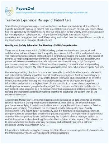 Essay on Teamwork Experience: Manager of Patient Care 