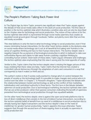 Essay on The People’s Platform: Taking Back Power and Culture