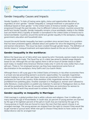 Essay on Gender Inequality: Causes and Impacts