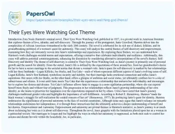 Essay on Their Eyes were Watching God Theme