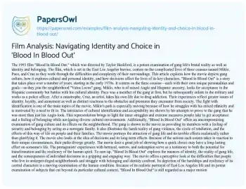 Essay on Film Analysis: Navigating Identity and Choice in ‘Blood in Blood Out’