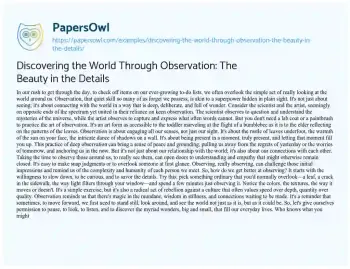 Essay on Discovering the World through Observation: the Beauty in the Details