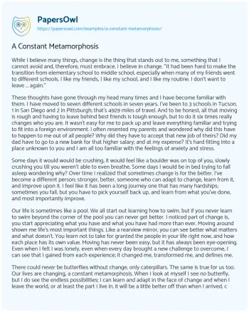 Essay on A Constant Metamorphosis