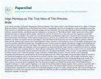 Essay on Inigo Montoya as the True Hero of the Princess Bride