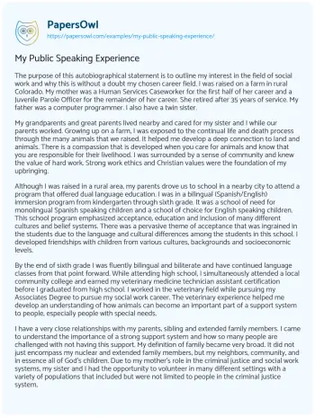 Essay on My Public Speaking Experience