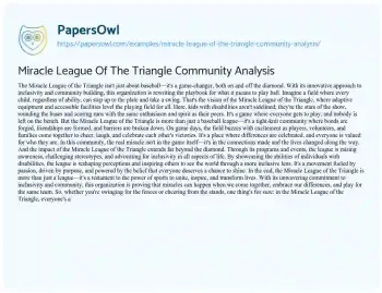 Essay on Miracle League of the Triangle Community Analysis