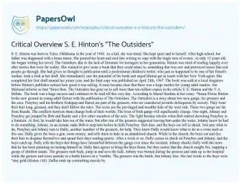 Essay on Critical Overview S. E. Hinton’s “The Outsiders”