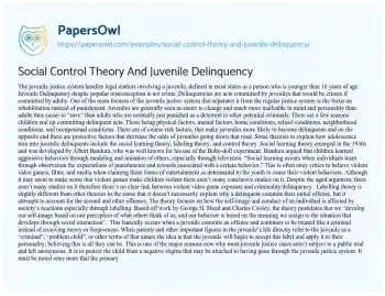 Essay on Social Control Theory and Juvenile Delinquency