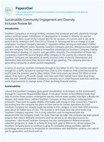 Essay on Sustainability Community Engagement and Diversity Inclusion Review BA