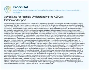 Essay on Advocating for Animals: Understanding the ASPCA’s Mission and Impact