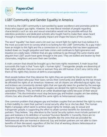 Essay on LGBT Community and Gender Equality in America