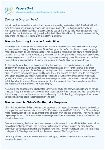 Essay on Drones in Disaster Relief