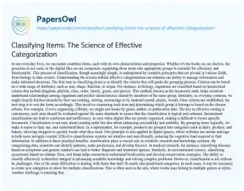 Essay on Classifying Items: the Science of Effective Categorization