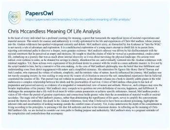 Essay on Chris Mccandless Meaning of Life Analysis