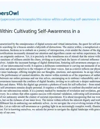 Essay on The Mirror Within: Cultivating Self-Awareness in a Digital Age