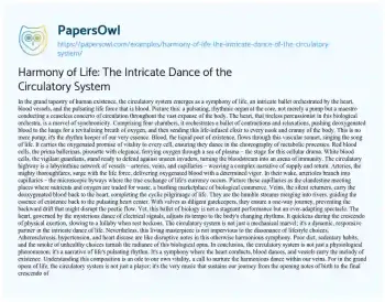 Essay on Harmony of Life: the Intricate Dance of the Circulatory System