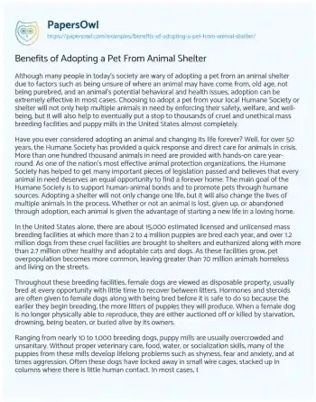 Essay on Benefits of Adopting a Pet from Animal Shelter