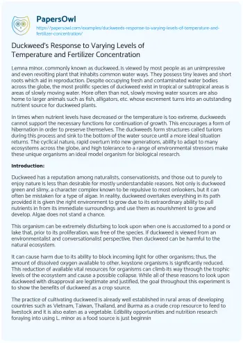 Essay on Duckweed’s Response to Varying Levels of Temperature and Fertilizer Concentration