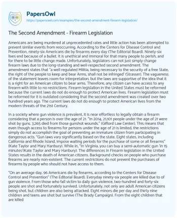 Essay on The Second Amendment – Firearm Legislation