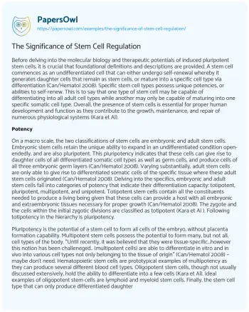 Essay on The Significance of Stem Cell Regulation