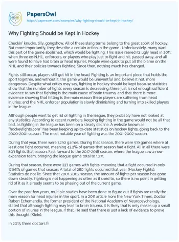 Essay on Why Fighting should be Kept in Hockey