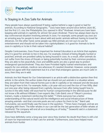 Essay on Is Staying in a Zoo Safe for Animals