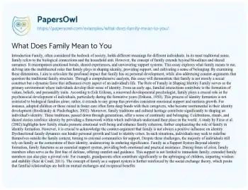 Essay on What does Family Mean to you