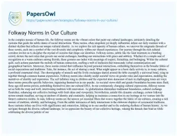 Essay on Folkway Norms in our Culture