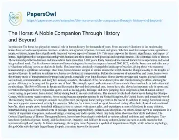 Essay on The Horse: a Noble Companion through History and Beyond