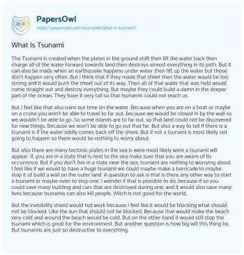 Essay on What is Tsunami