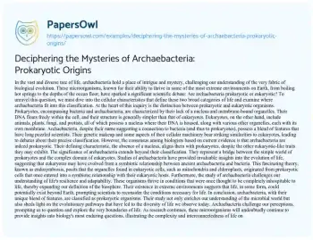 Essay on Deciphering the Mysteries of Archaebacteria: Prokaryotic Origins