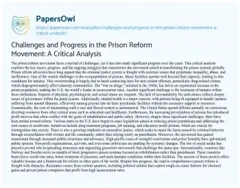 Essay on Challenges and Progress in the Prison Reform Movement: a Critical Analysis