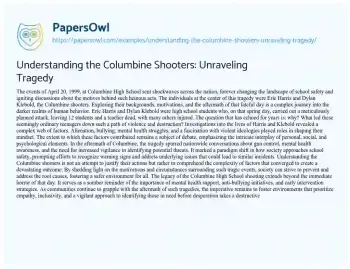 Essay on Understanding the Columbine Shooters: Unraveling Tragedy