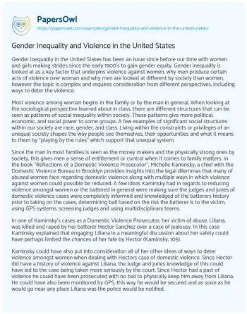 Essay on Gender Inequality and Violence in the United States