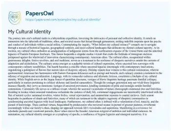 Essay on My Cultural Identity