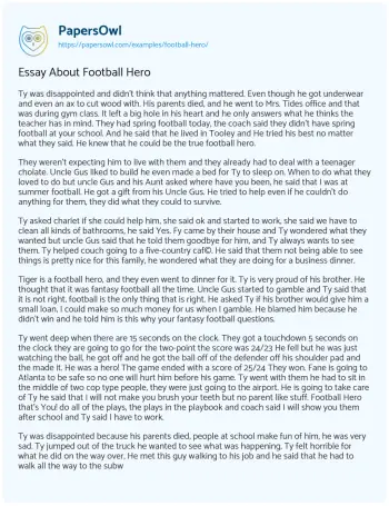 Essay on Essay about Football Hero