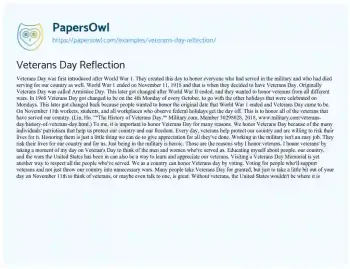 Essay on Veterans Day Reflection