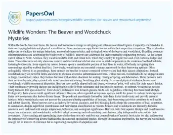 Essay on Wildlife Wonders: the Beaver and Woodchuck Mysteries