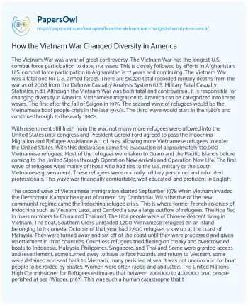 Essay on How the Vietnam War Changed Diversity in America