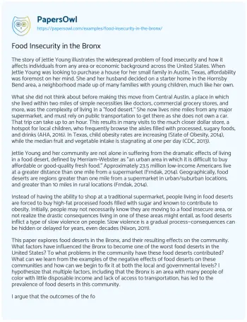 Essay on Food Insecurity in the Bronx