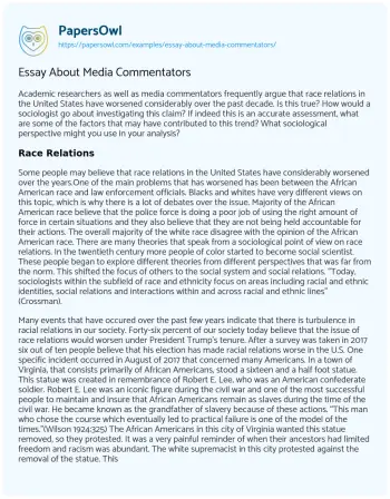 Essay on Essay about Media Commentators