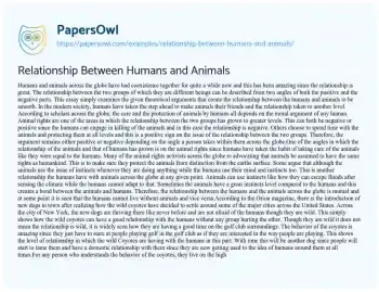 Essay on Relationship between Humans and Animals