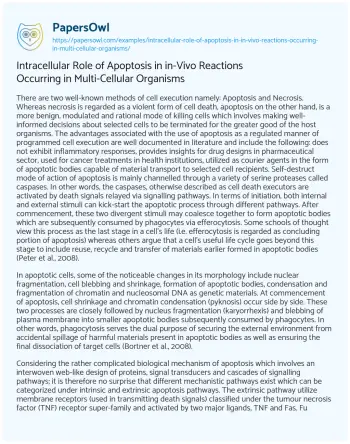 Essay on Intracellular Role of Apoptosis in In-Vivo Reactions Occurring in Multi-Cellular Organisms