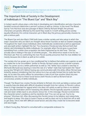 Essay on The Important Role of Society in the Development of Individuals in “The Bluest Eye” and “Black Boy”