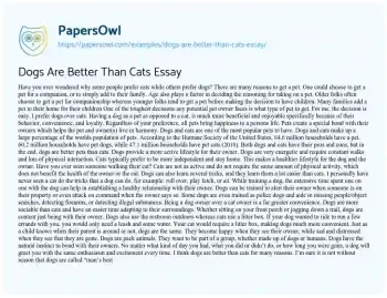 Essay on Dogs are Better than Cats Essay