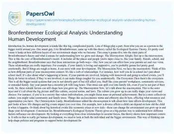 Essay on Bronfenbrenner Ecological Analysis: Understanding Human Development