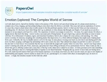 Essay on Emotion Explored: the Complex World of Sorrow