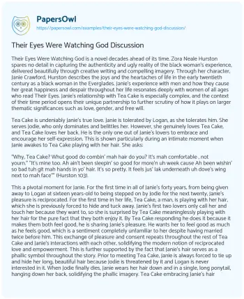 Essay on Their Eyes were Watching God Discussion